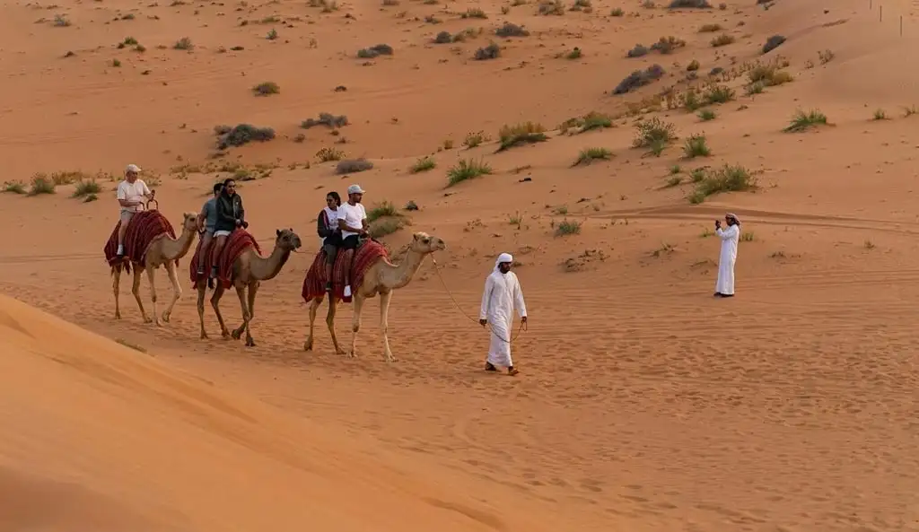 Guided camel riding experience in Abu Dhabi desert terrain with sparse vegetation, featuring tourists and local guides taking photos.