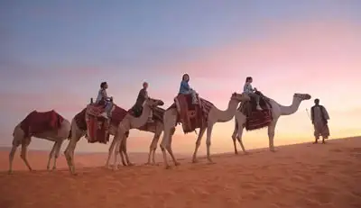 What Is the Feeling of Camel Trekking?