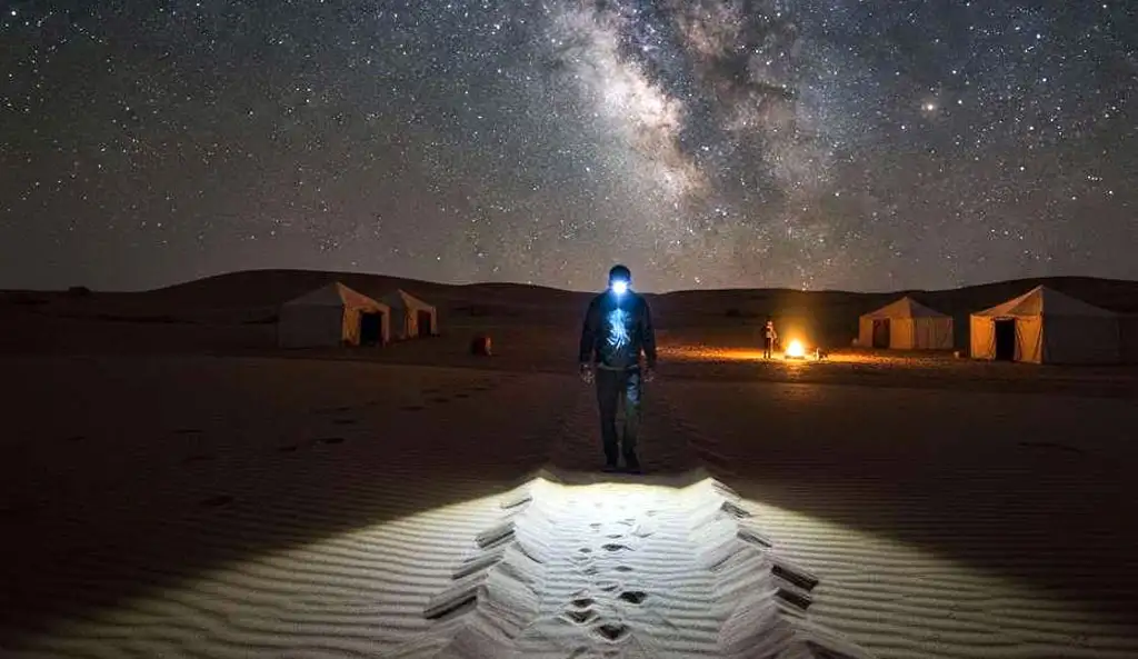 A person using a headlamp to spot a scorpion in the sand, demonstrating nighttime safety tips for overnight desert safari Abu Dhabi while camping under a starry sky.