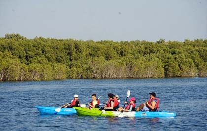Mangrove Kayak Tour Abu Dhabi