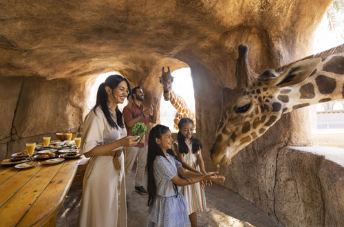 Emirates Park Zoo Abu Dhabi Tickets