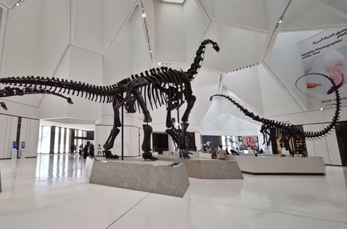 Natural History Museum Abu Dhabi Tickets